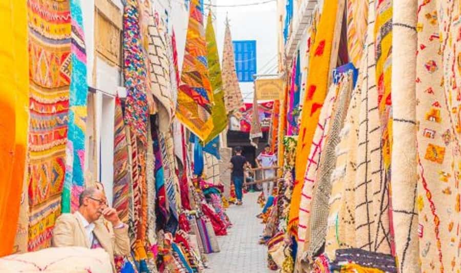 From Marrakech: Small Group to Essaouira & Sekkala Day Trip - Argan Oil Cooperatives: More Than a Photo Stop
