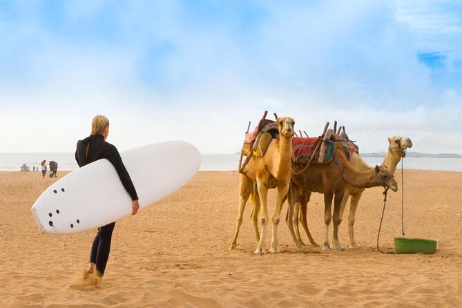 From Marrakech To Essaouira Mogador Full Day Trip | Small-group - Key points worth your attention