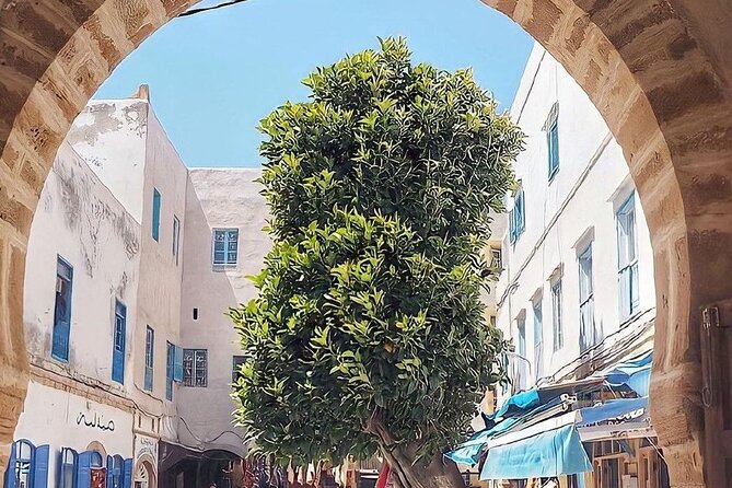 From Marrakech To Essaouira Mogador Full Day Trip | Small-group - Arriving at Essaouira: Medinas, Markets, and Markets You Can Breathe In