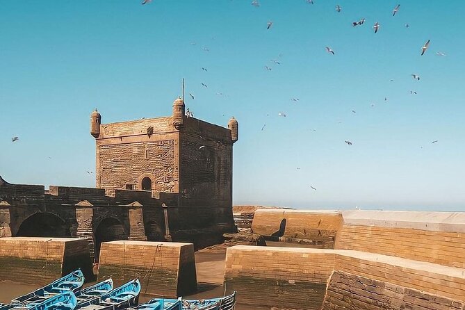 From Marrakech To Essaouira Mogador Full Day Trip | Small-group - The Best Part: How Much Your Driver Shapes the Day