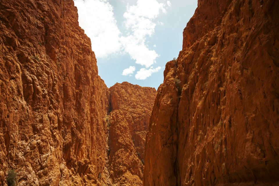 From Marrakech: Unforgettable 3-Day Desert Tour to Fes - Who should book this tour (and who might want a different format)