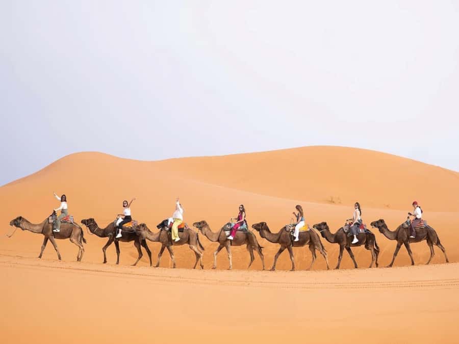 From Marrakech: Unforgettable 3-Day Desert Tour to Fes - Why this Marrakech to Fes route feels more meaningful