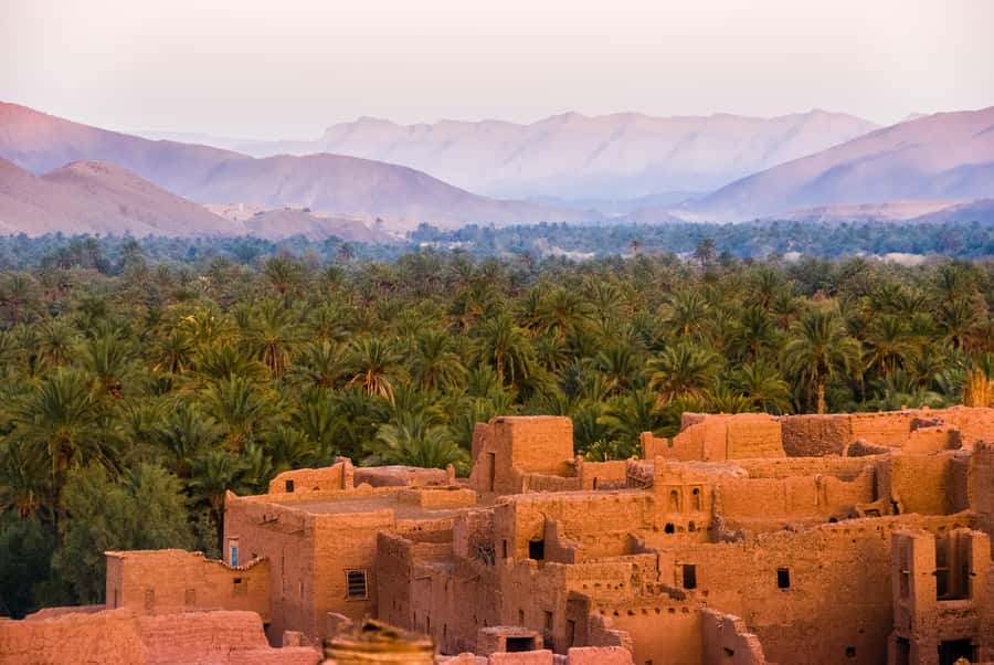 From Marrakech: Unforgettable 3-Day Desert Tour to Fes - The guide and driver factor: why certain names show up a lot