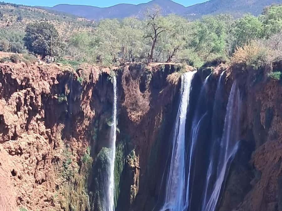 From Marrakech:Ouzoud Waterfalls Day Trip with Boat Tour - Who Should Book This (and Who Might Skip)