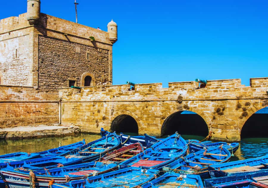From Marrakesh: Essaouira Full-Day Trip - Key highlights worth getting excited about