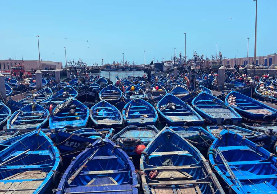 From Marrakesh: Essaouira Full-Day Trip - FAQ