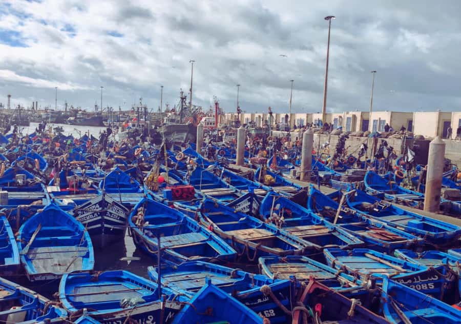 From Marrakesh: Essaouira Full-Day Trip - How the Marrakech-to-Essaouira ride sets the tone