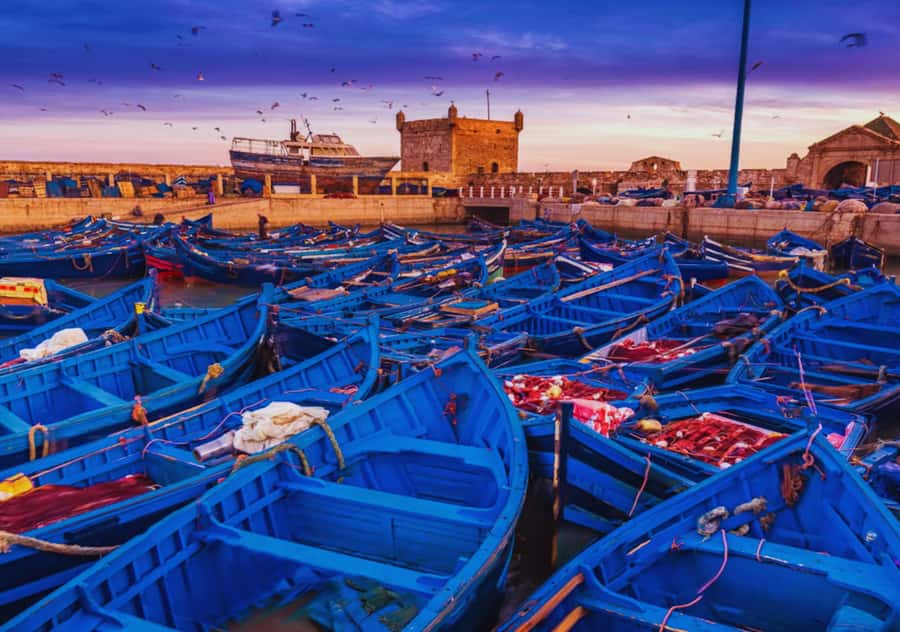 From Marrakesh: Essaouira Full-Day Trip - Skala de la Kasbah and the port: views, boats, and photo time