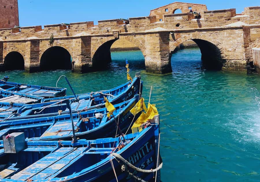 From Marrakesh: Essaouira Full-Day Trip - Beach free time: golden sand, Atlantic wind, and what to do with it
