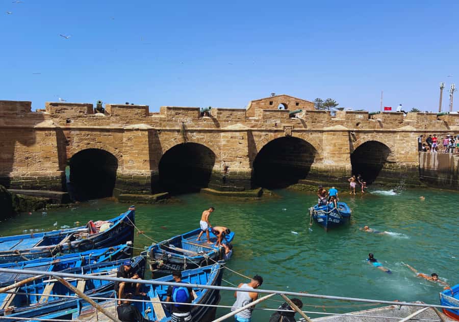 From Marrakesh: Essaouira Full-Day Trip - Final take: should you book this Essaouira day trip?