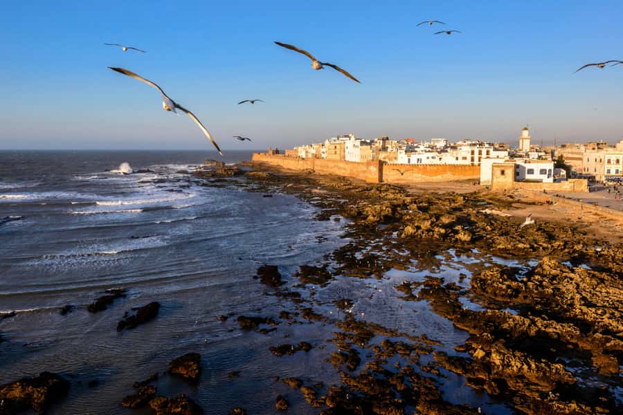From Marrakesh: Small Group To Essaouira With Opt Activities - Key things you should care about