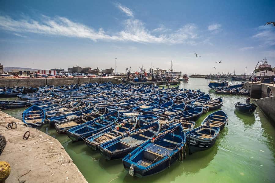 From Marrakesh: Small Group To Essaouira With Opt Activities - The Road to the Coast Takes Time, So Use It