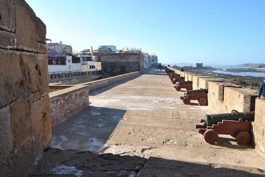 From Marrakesh: Small Group To Essaouira With Opt Activities - Essaouira Medina Streets and Market Shopping Time