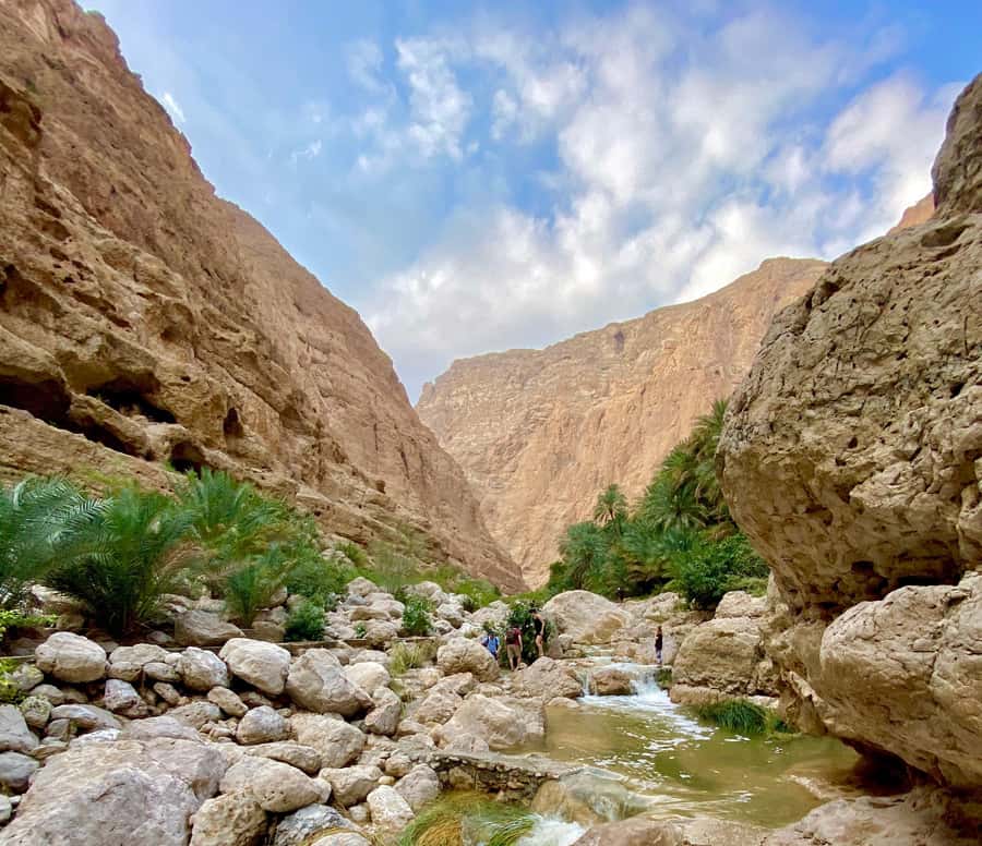 From Muscat: Wadi Shab & Bimmah Sinkhole Full-Day Tour - Leaving Muscat: the drive, the tea break, and why it matters