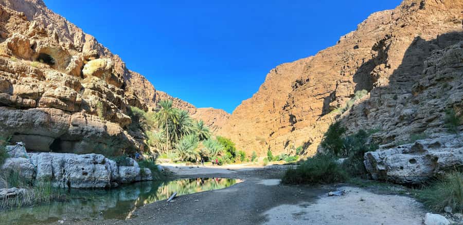 From Muscat: Wadi Shab & Bimmah Sinkhole Full-Day Tour - Who this tour suits best—and who should skip it