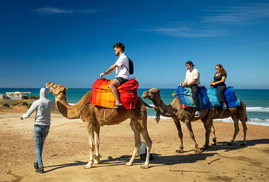 From Tangier: Cap Spartel and Hercules Cave with Camel Ride - Key highlights you’ll actually care about