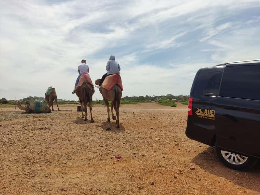 From Tangier: Cap Spartel and Hercules Cave with Camel Ride - How the short Tangier free time works in real life
