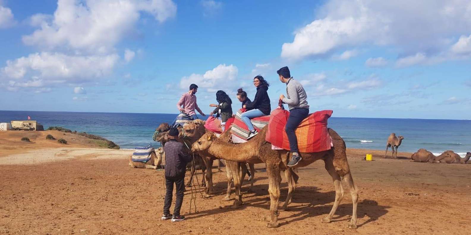 From Tangier: Cap Spartel and Hercules Cave with Camel Ride - Price and ticket costs: does $33 really hold up?