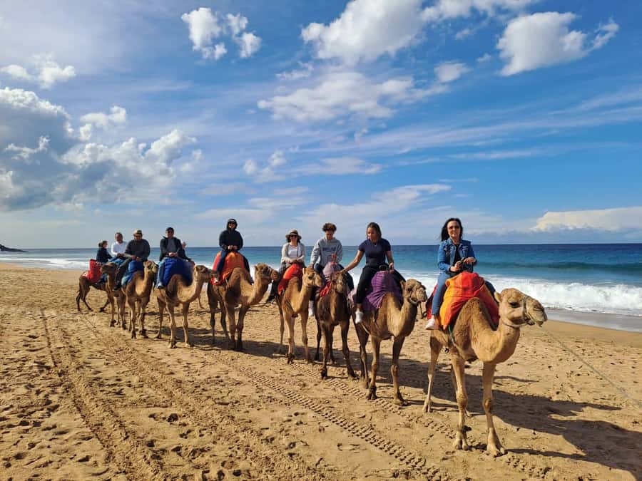 From Tangier: Cap Spartel and Hercules Cave with Camel Ride - Hercules Caves: myth meets rock (and you decide about tickets)