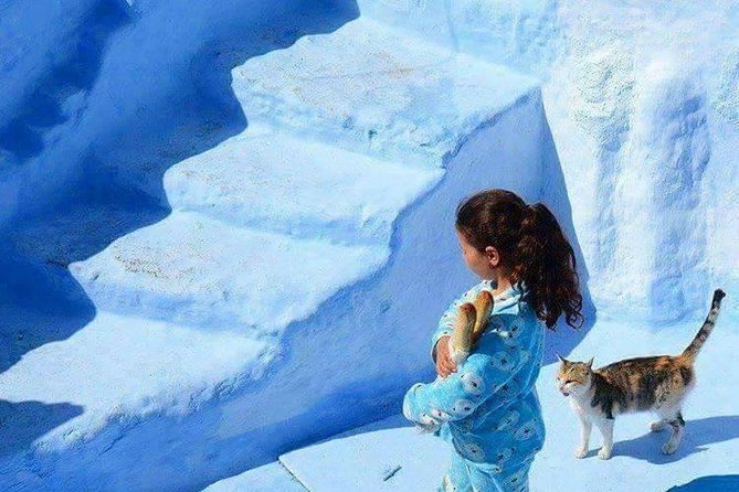 From Tangier: Chefchaouen Day Trip with Local Guide - Meeting Up in Tangier Without the Headache