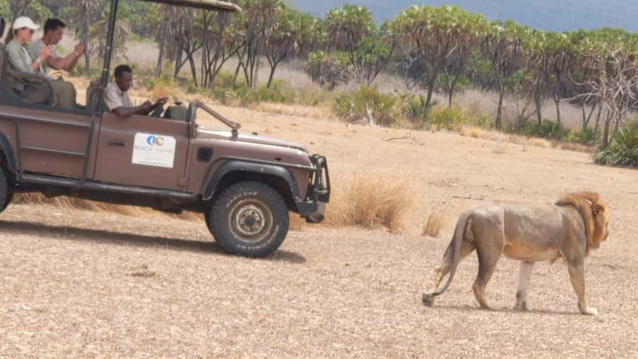 From Zanzibar: Mikumi Safari Day Trip with Flights and Meal - FAQ