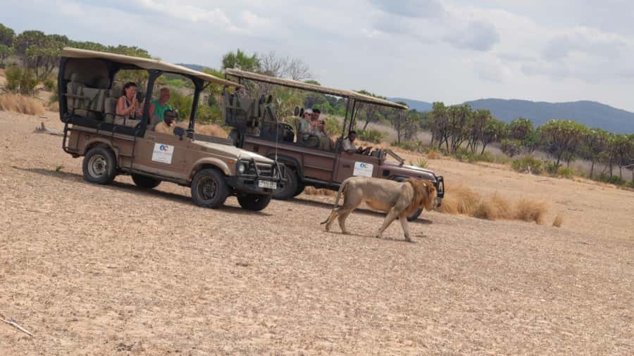 From Zanzibar: Mikumi Safari Day Trip with Flights and Meal - Practical Packing List for Mikumi Fly-In Safari Success
