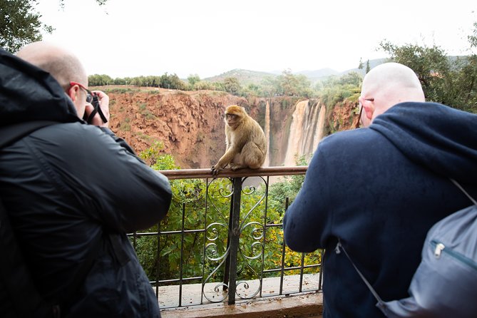 Full Day Trip To Ouzoud Waterfalls From Marrakech & Boat Tour - Who should do this trip (and who should rethink it)