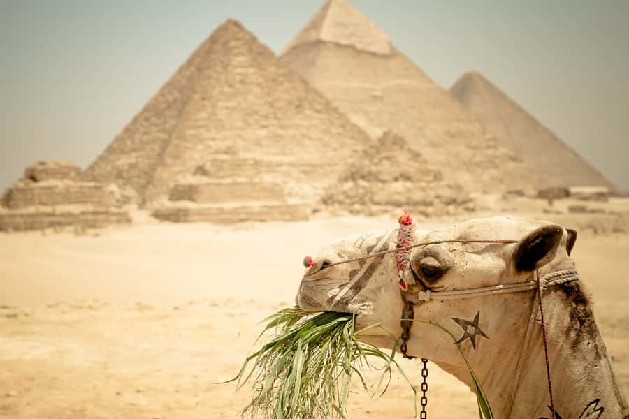 Giza Pyramids and Sphinx: Half-Day Private or Group Tour - Private vs Group: How Logistics Change Your Day