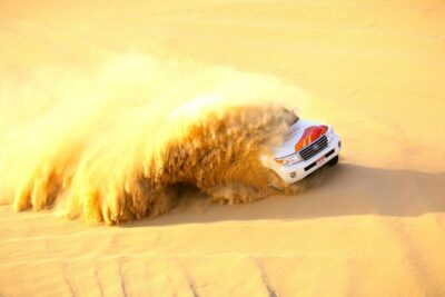 Half-Day Desert Safari from Abu Dhabi - Price and Value: What You’re Actually Paying For at $64