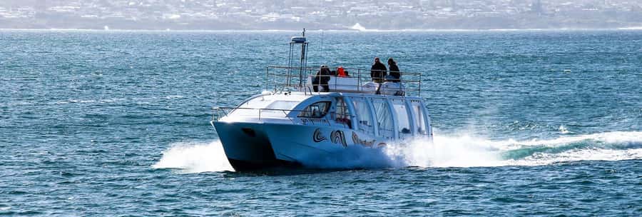 Hermanus: Boat Based Whale Watching Experience - What “good whale watching” means here: time, distance, and respect