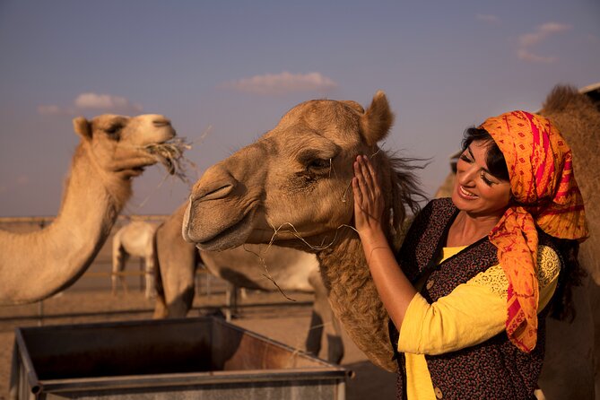 High Red Dunes with Camel Ride, Sandboarding, Falcon Show and VIP BBQ Dinner - Hotel Pickup to Lahbab: Getting to the Dunes Without a Hassle