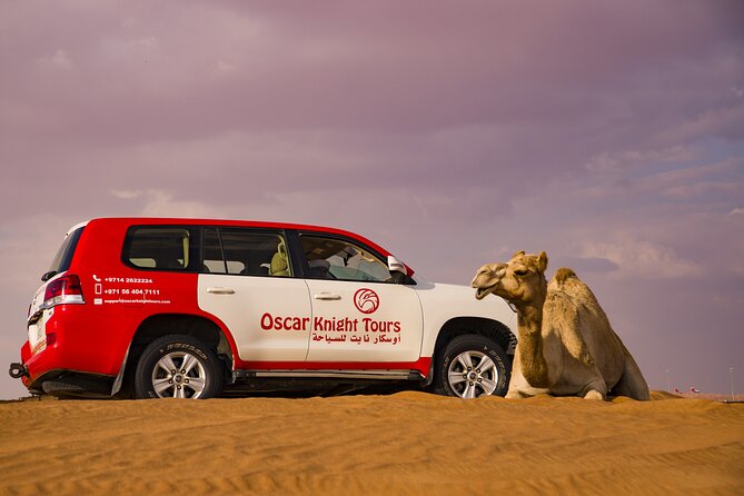 High Red Dunes with Camel Ride, Sandboarding, Falcon Show and VIP BBQ Dinner - Bedouin Camp at Sunset: Camel Ride, Henna, Stars