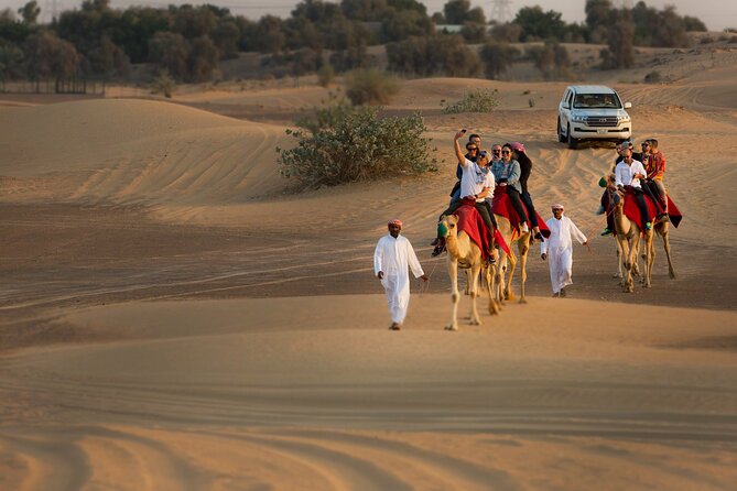 High Red Dunes with Camel Ride, Sandboarding, Falcon Show and VIP BBQ Dinner - VIP BBQ Dinner and Live Entertainment That Actually Fills the Night
