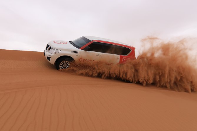 High Red Dunes with Camel Ride, Sandboarding, Falcon Show and VIP BBQ Dinner - Red Dune Bashing in the High Sands: The Main Event