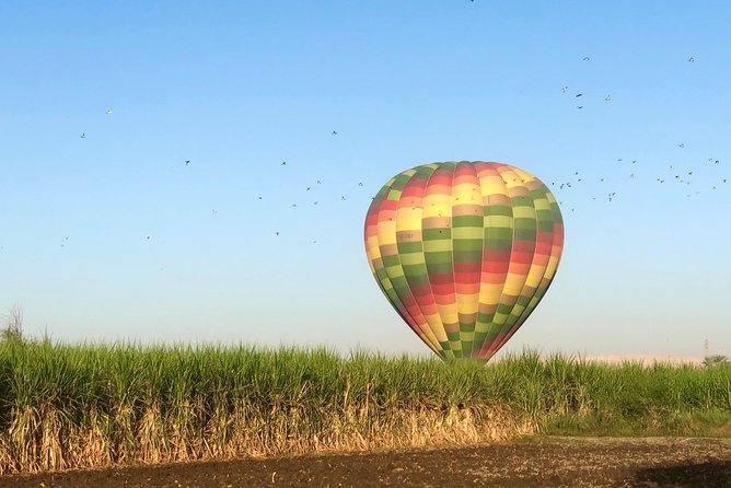 Hot Air Balloon Ride in Luxor Egypt with Transfers Included - Over Luxor’s West Bank: What You See When the Valley Stays Quiet