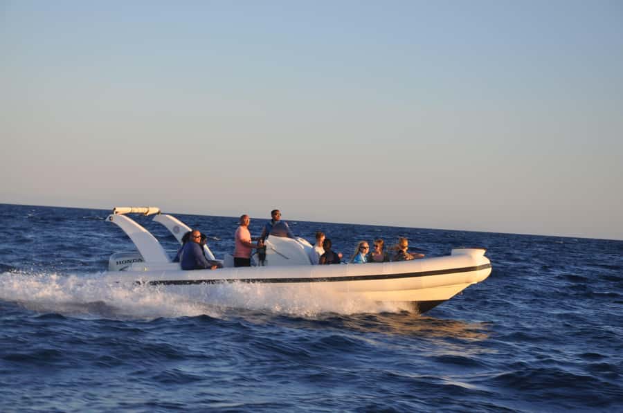 Hurghada: 6 Islands Tour with Dolphin Watching & Snorkelling - Dolphins: how to treat the hunt realistically