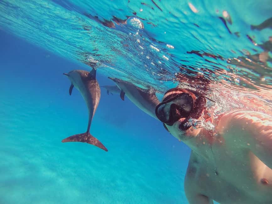 Hurghada: Dolphin Watching Boat Tour with Snorkeling & Lunch - Two Snorkeling Stops With Gear Provided: What You’ll Actually Do