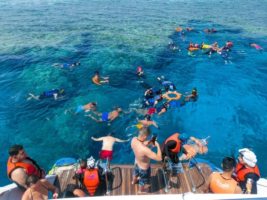 Hurghada: Dolphin Watching Boat Tour with Snorkeling & Lunch - Who Should Book This Tour (and Who Should Skip It)