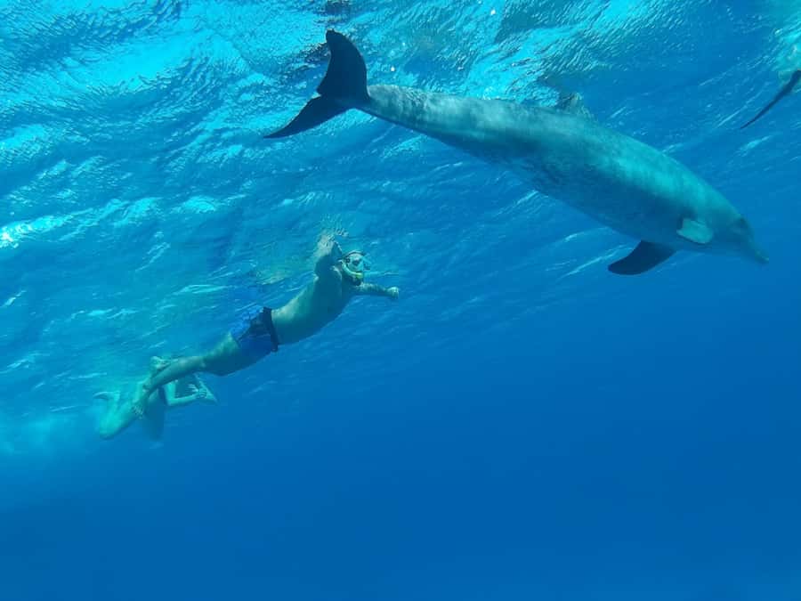 Hurghada: Luxury Cruise Trip to Orange Bay with Lunch - Marine Life Checklist: What You Can Hope to See