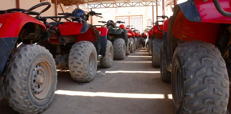 Hurghada: Morning Quad Bike Tour, Camel Ride and Transfer - The sunrise choice: Bedouin-style breakfast at 5:00 AM