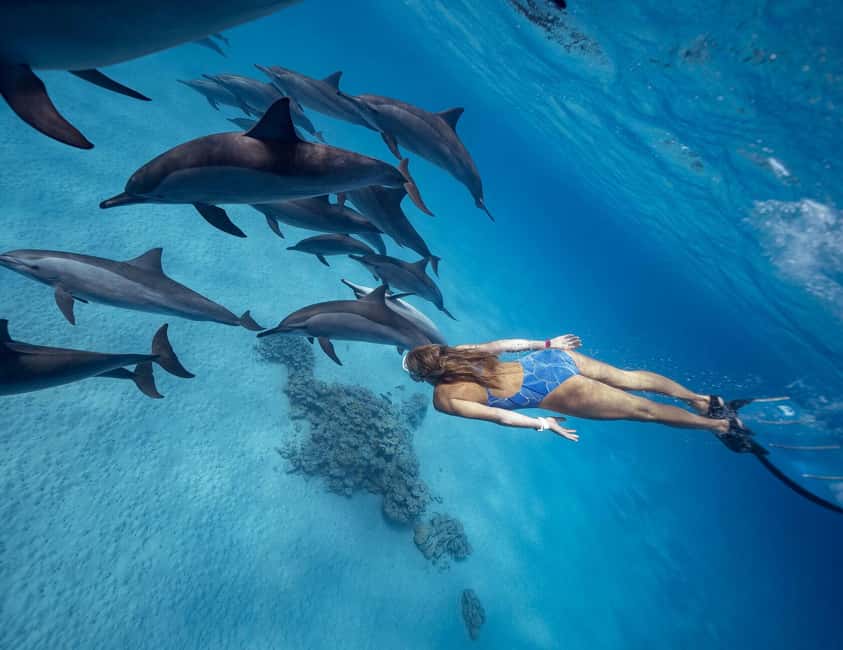 Hurghada or Makadi: Discover the Magic of Dolphin House - Dolphin House Day Trip: What the Day Feels Like on the Water