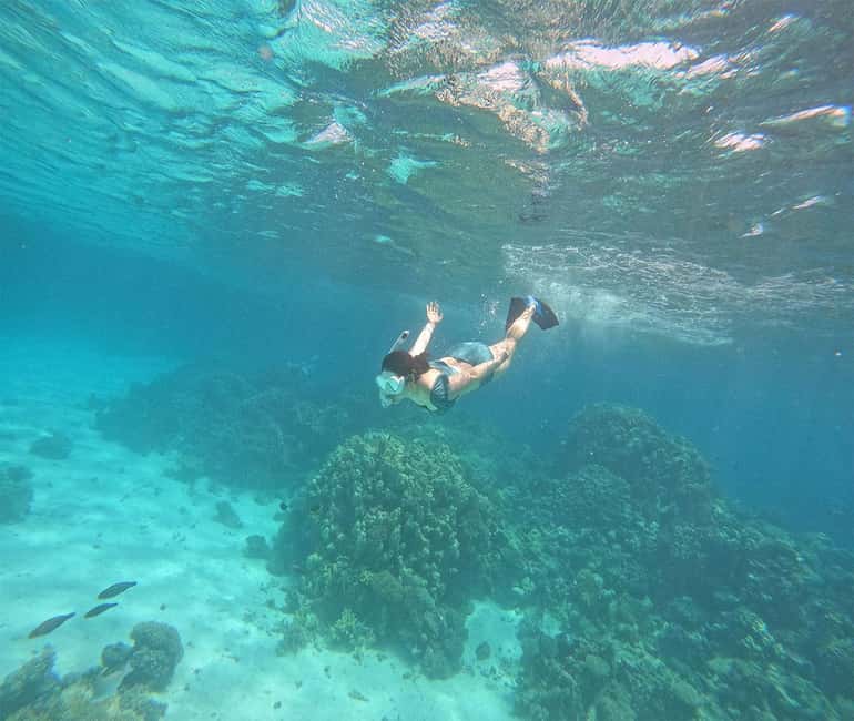 Hurghada or Makadi: Discover the Magic of Dolphin House - Who Should Book This Tour (And Who Might Feel Frustrated)