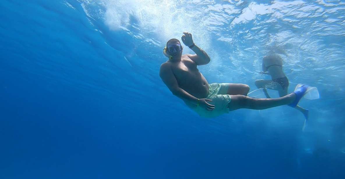 Hurghada or Makadi: Discover the Magic of Dolphin House - Entering The Dolphin House: Dolphins Seen vs Dolphins Swum With
