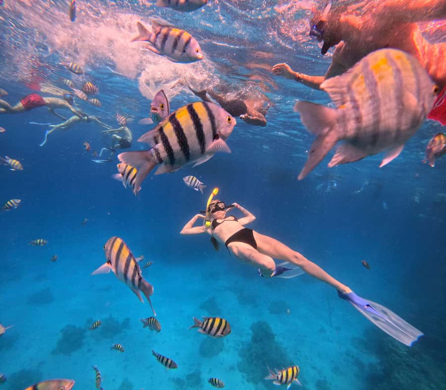 Hurghada: Orange Bay Island Boat Trip w/ Breakfast and Lunch - Two snorkeling stops: what you’ll actually do (and how help works)