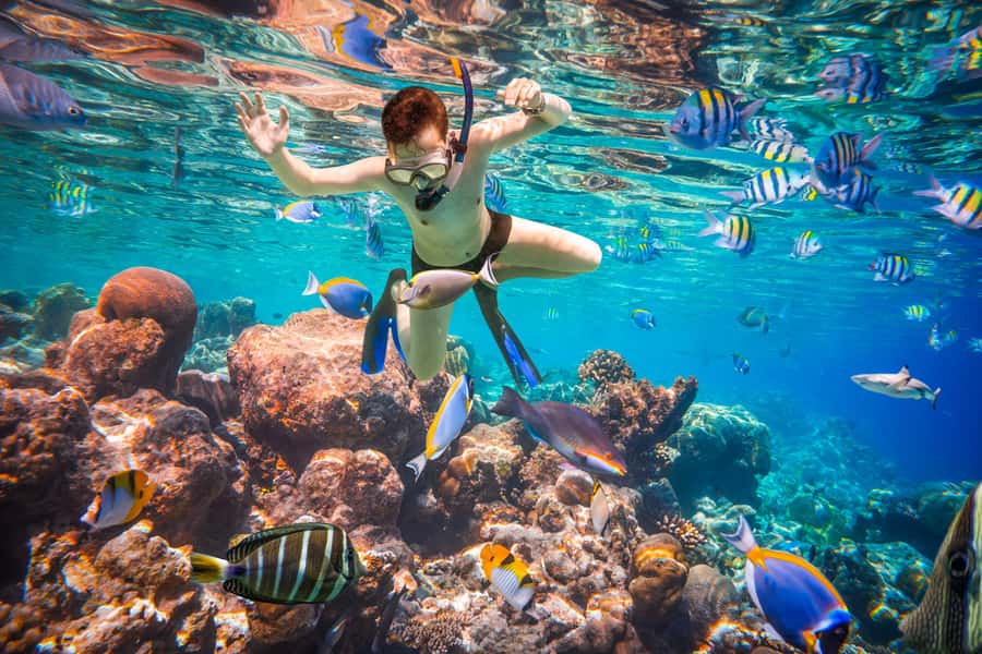 Hurghada: Orange Bay Island Boat Trip w/ Breakfast and Lunch - Lunch on the way back: buffet comfort after sea time