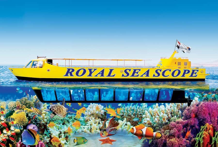 Hurghada: Royal Seascope Submarine Cruise with Snorkel Stop - The ride out: cruise time and what you’re watching for