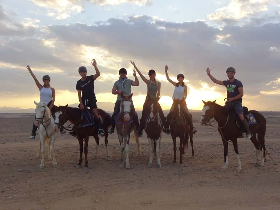 Hurghada: Sea & Desert Horse Tour, Stargazing, Dinner & Show - Desert-to-Sea Riding in Hurghada: What Those Two Hours Feel Like