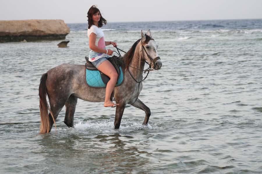 Hurghada: Sea & Desert Horse Tour, Stargazing, Dinner & Show - VIP 4-Hour Swim Stop: The Red Sea Moment You’ll Remember
