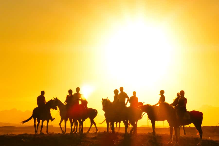 Hurghada: Sea & Desert Horse Tour, Stargazing, Dinner & Show - How Guides and Horses Make This Work for Beginners (and Confident Riders)