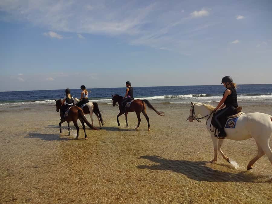 Hurghada: Sea & Desert Horse Tour, Stargazing, Dinner & Show - Getting There From Hurghada, Makadi Bay, Sahl Hasheesh, and Beyond